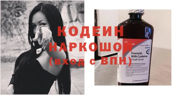 молекула духа Арсеньев