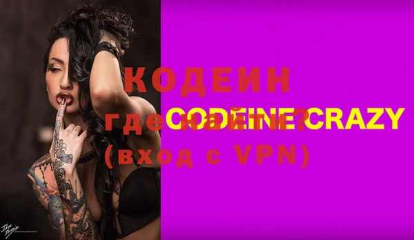 молекула духа Арсеньев