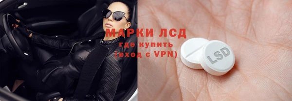 молекула духа Арсеньев