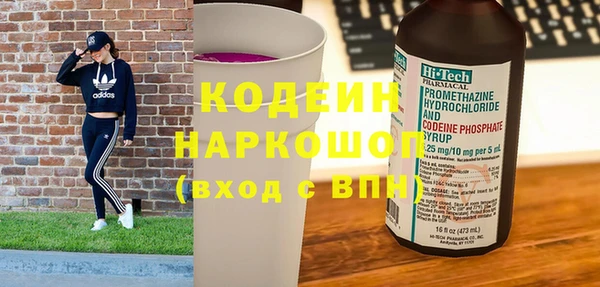 молекула духа Арсеньев