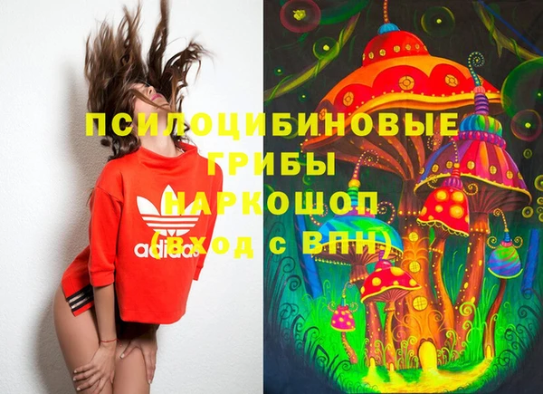 тгк Армянск