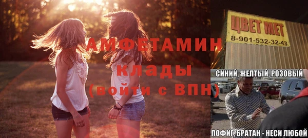 молекула духа Арсеньев