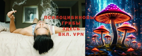 молекула духа Арсеньев
