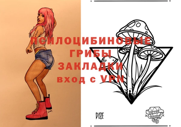 молекула духа Арсеньев