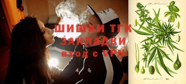 молекула духа Арсеньев