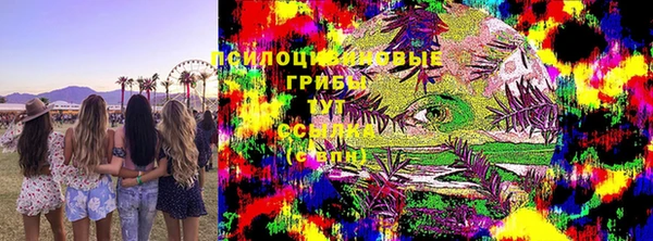 молекула духа Арсеньев