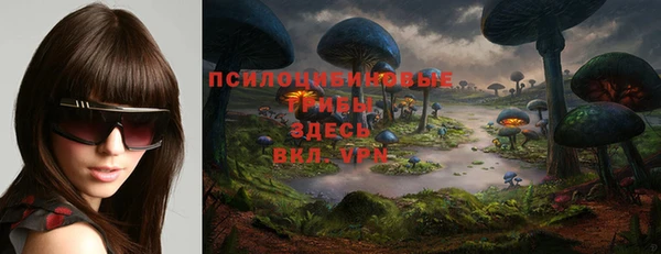 молекула духа Арсеньев